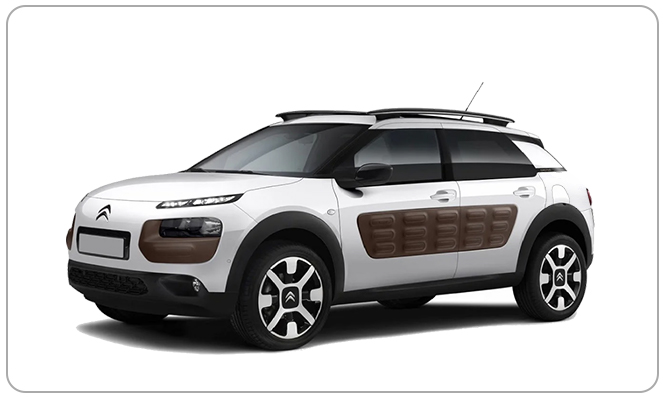 C4 Cactus